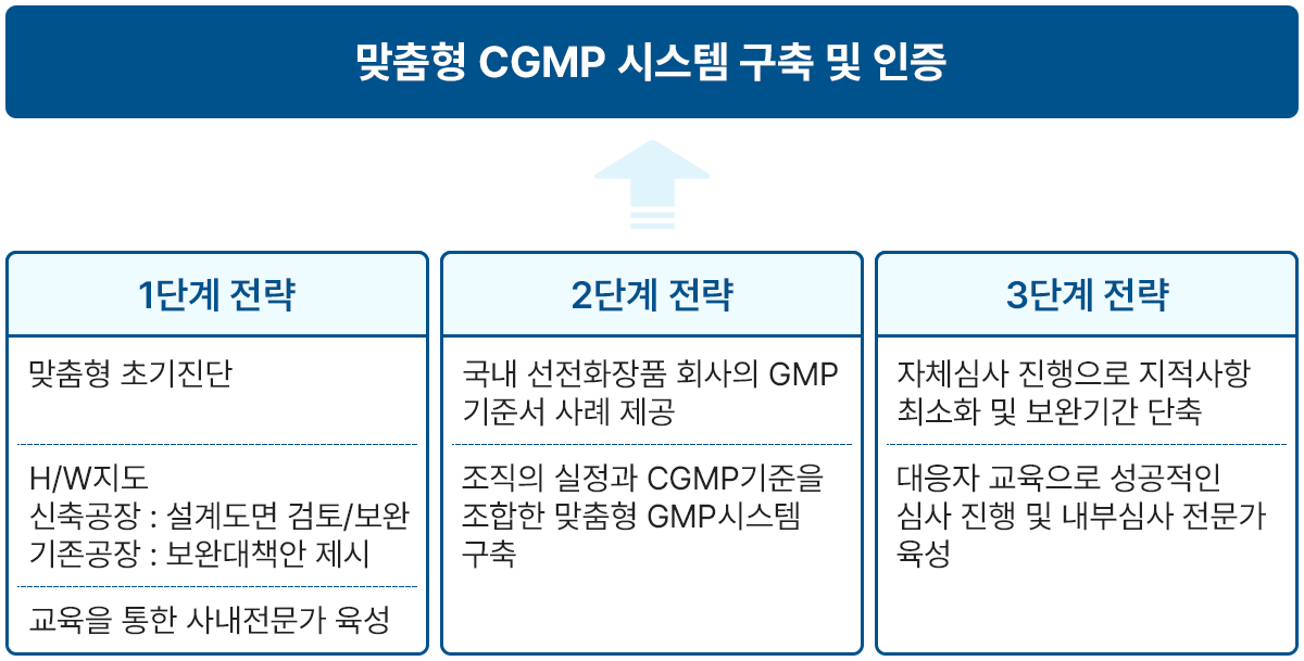 CGMP 컨설팅 추진전략